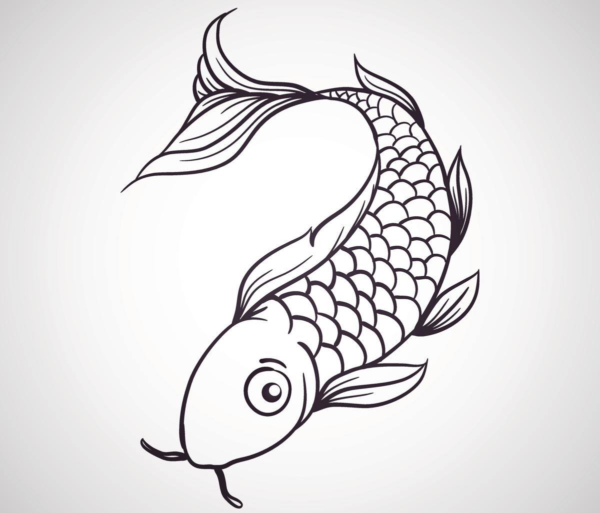 Japanese Koi Fish Drawing at GetDrawings | Free download