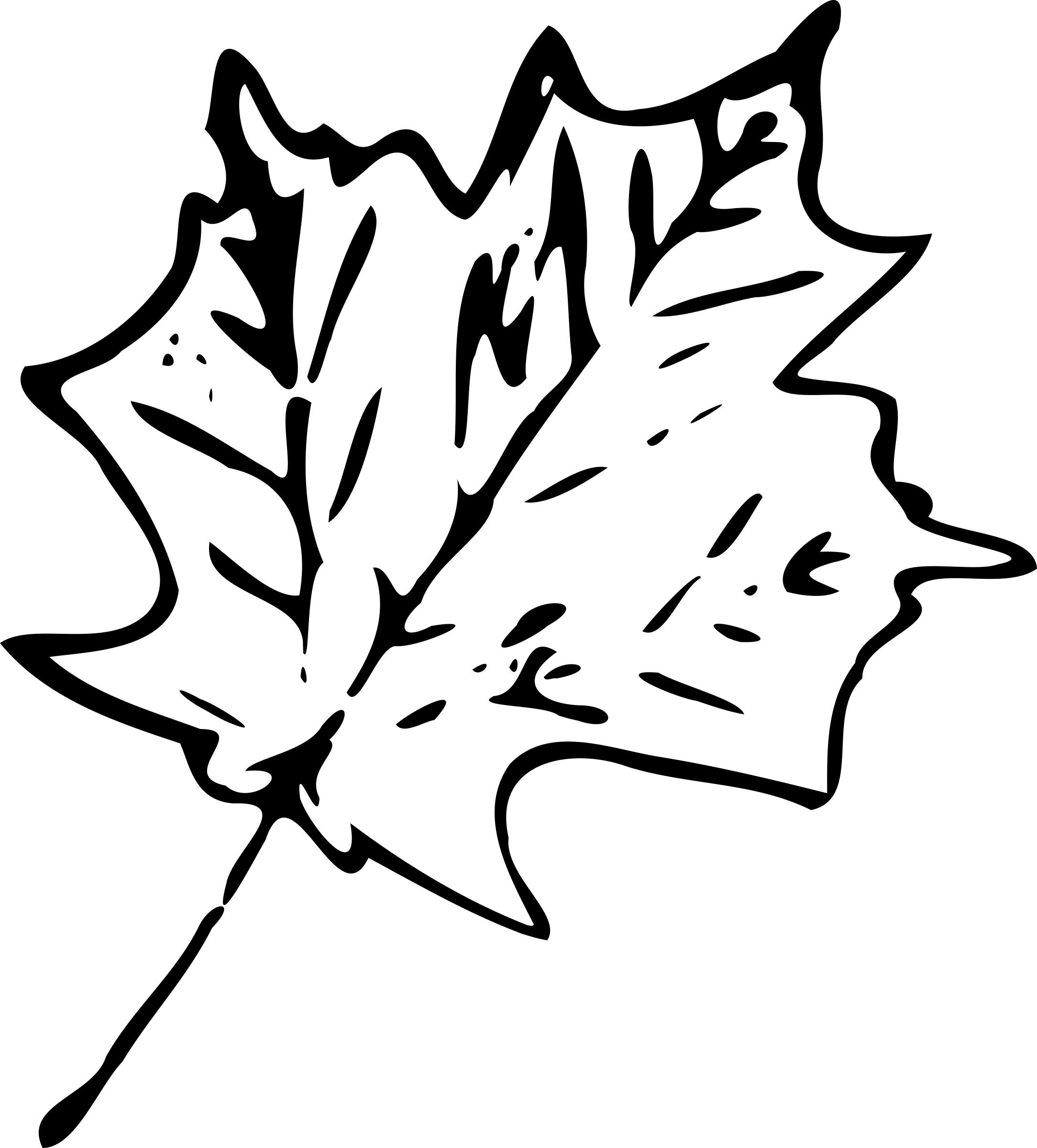 Japanese Maple Leaf Drawing at GetDrawings | Free download