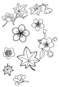 Japanese Maple Leaf Drawing at GetDrawings | Free download