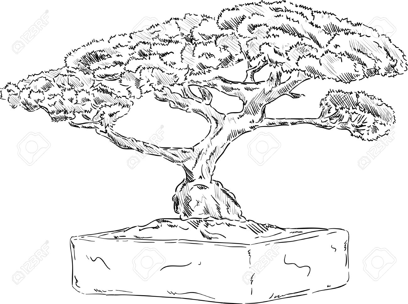 The best free Tree drawing images. Download from 19305 free drawings of