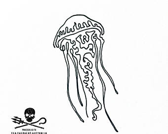 Jellyfish Line Drawing At Getdrawings Free Download