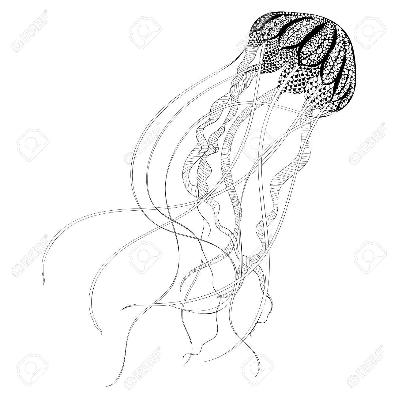 Jellyfish Line Drawing At GetDrawings | Free Download