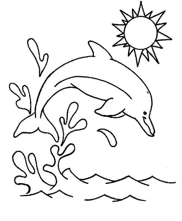 Jumping Dolphin Drawing at GetDrawings | Free download