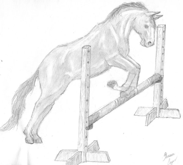 Jumping Horse Drawing at GetDrawings Free download