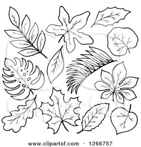 Jungle Leaves Drawing at GetDrawings | Free download