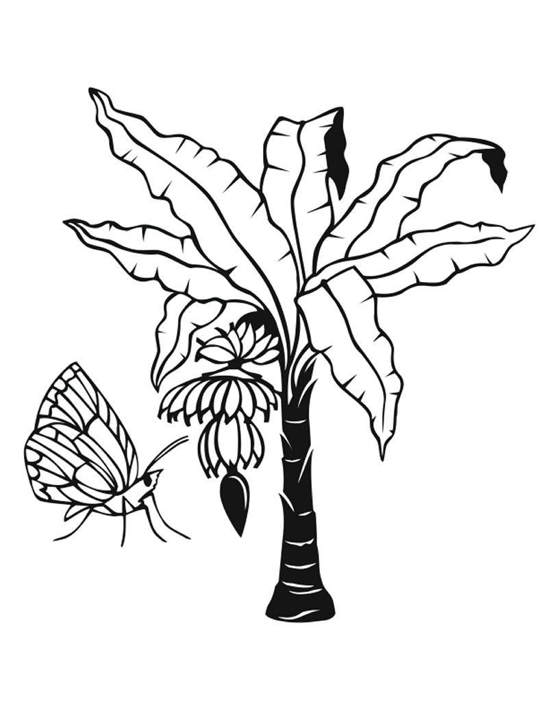 Jungle Tree Drawing at GetDrawings | Free download