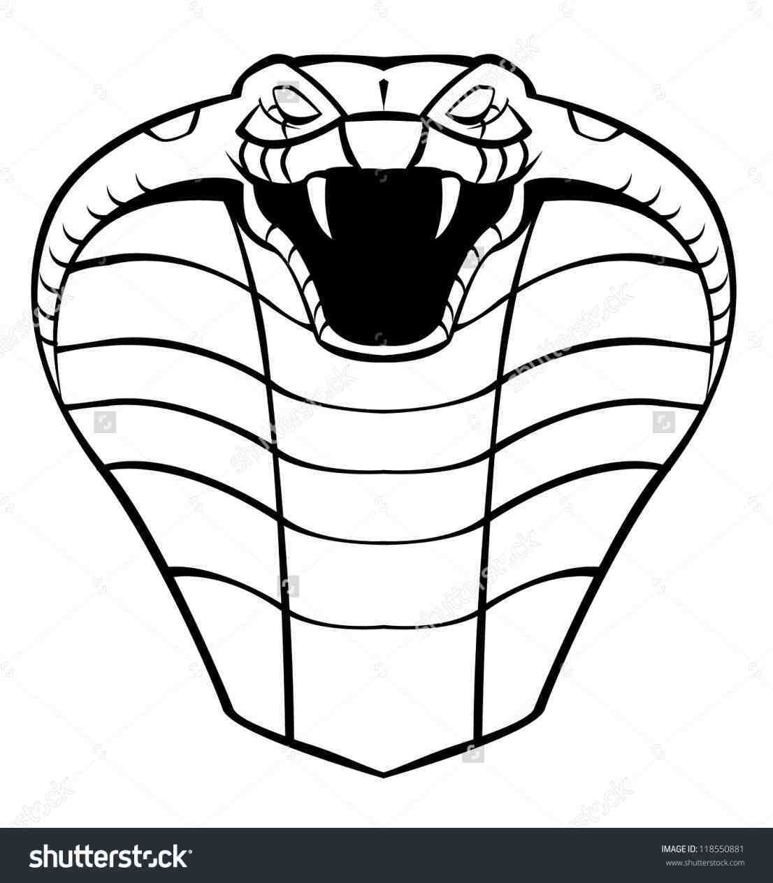 King Cobra Drawing At GetDrawings | Free Download