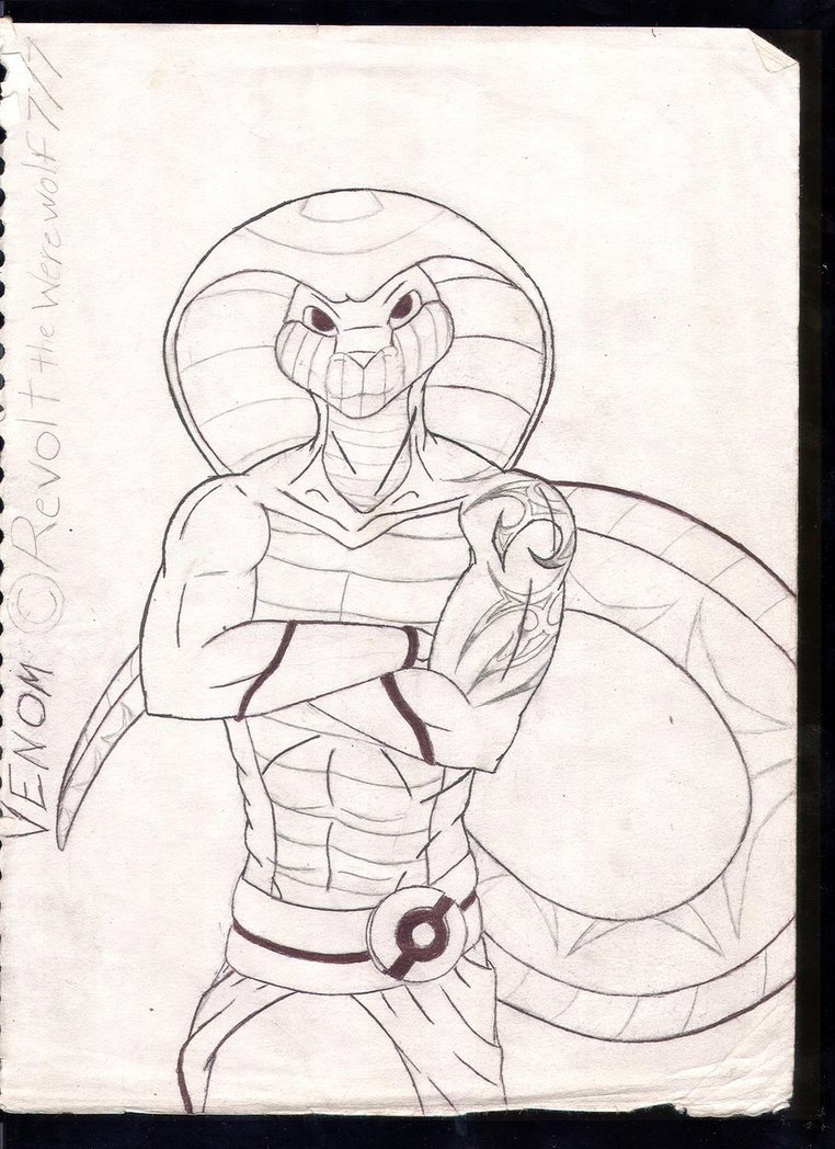 King Cobra Drawing At GetDrawings | Free Download