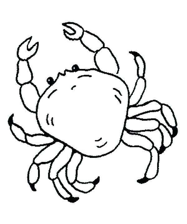 King Crab Drawing at GetDrawings  Free download