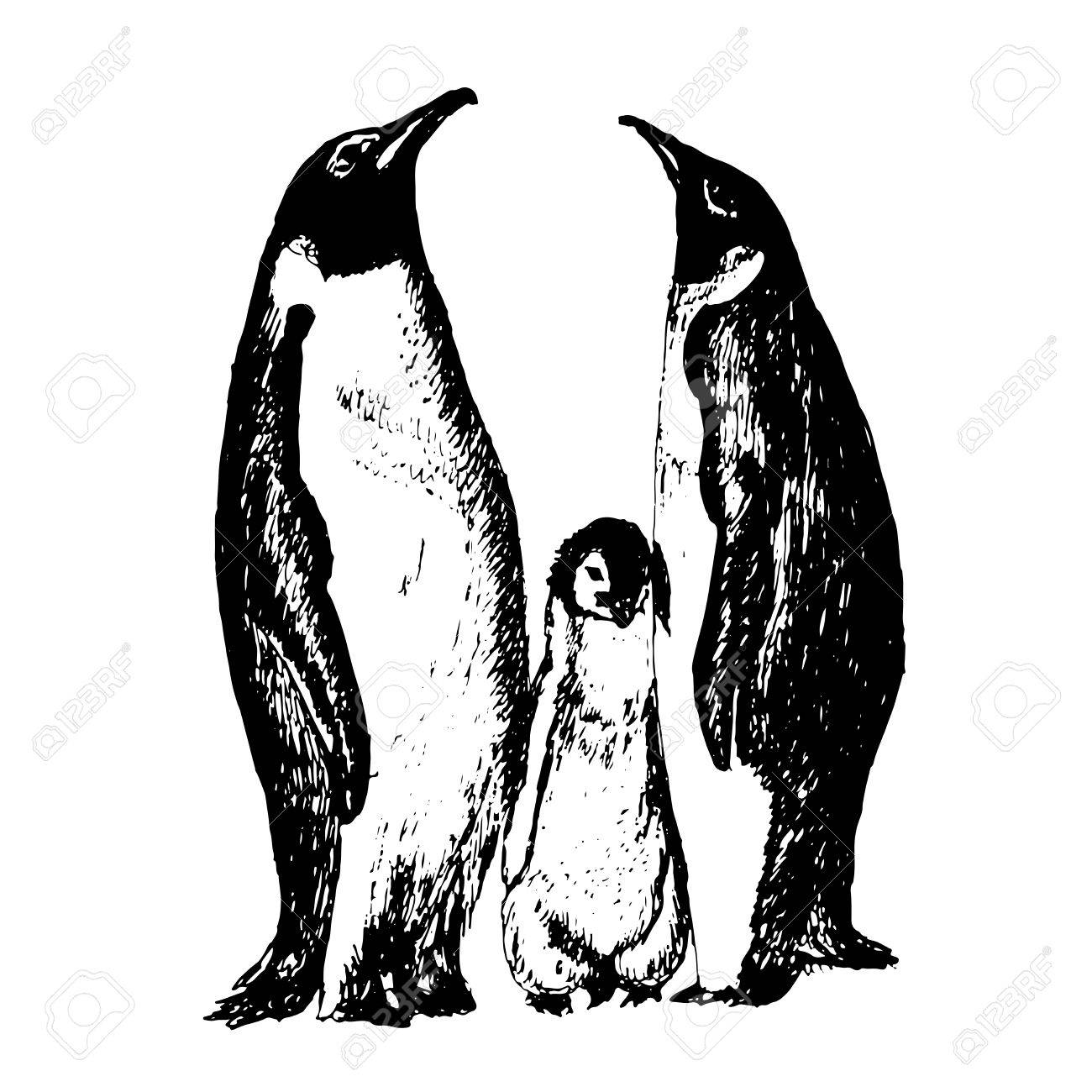 Пингвин рисунок карандашом профессионально