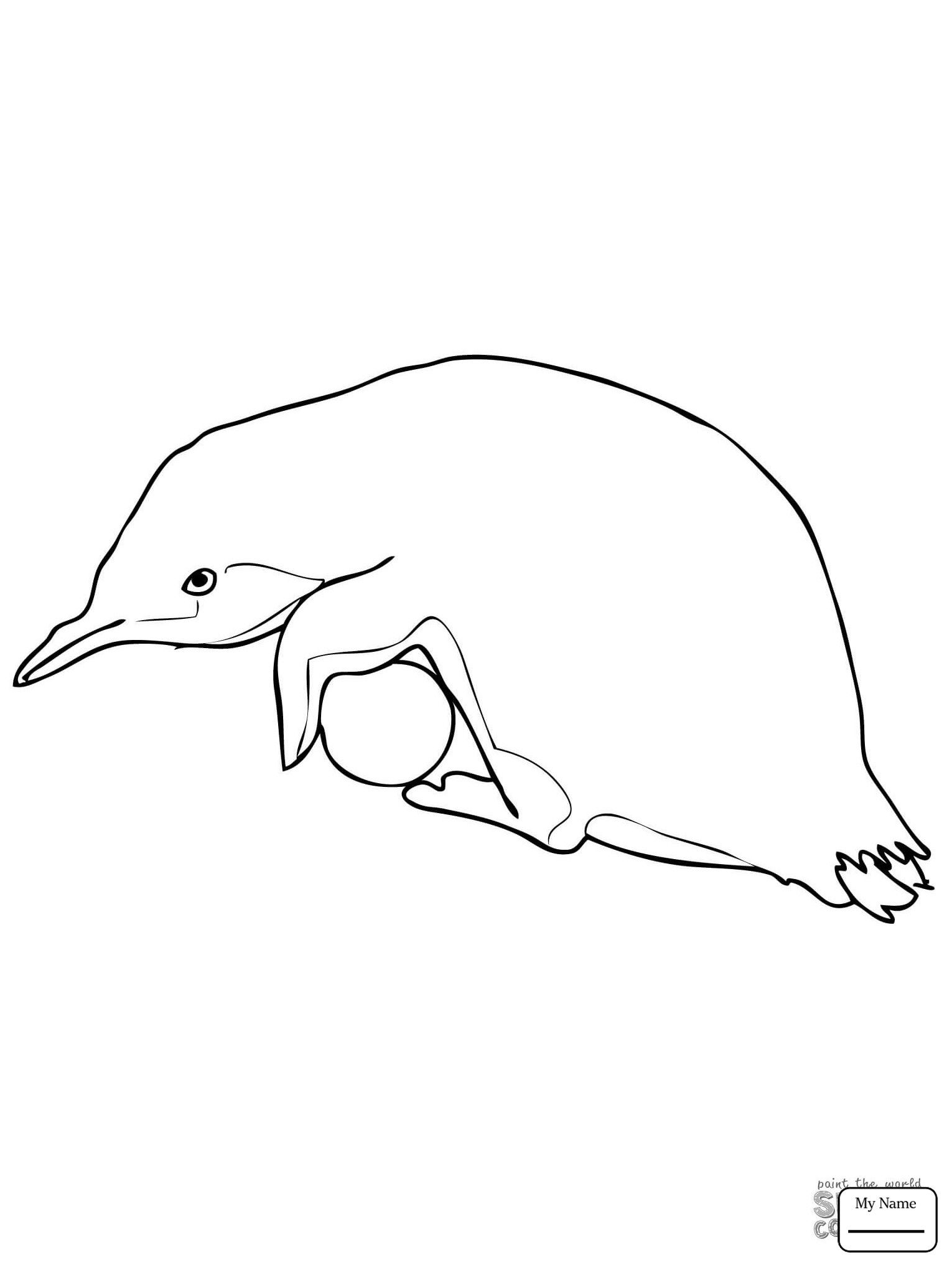 King Penguin Drawing at GetDrawings Free download