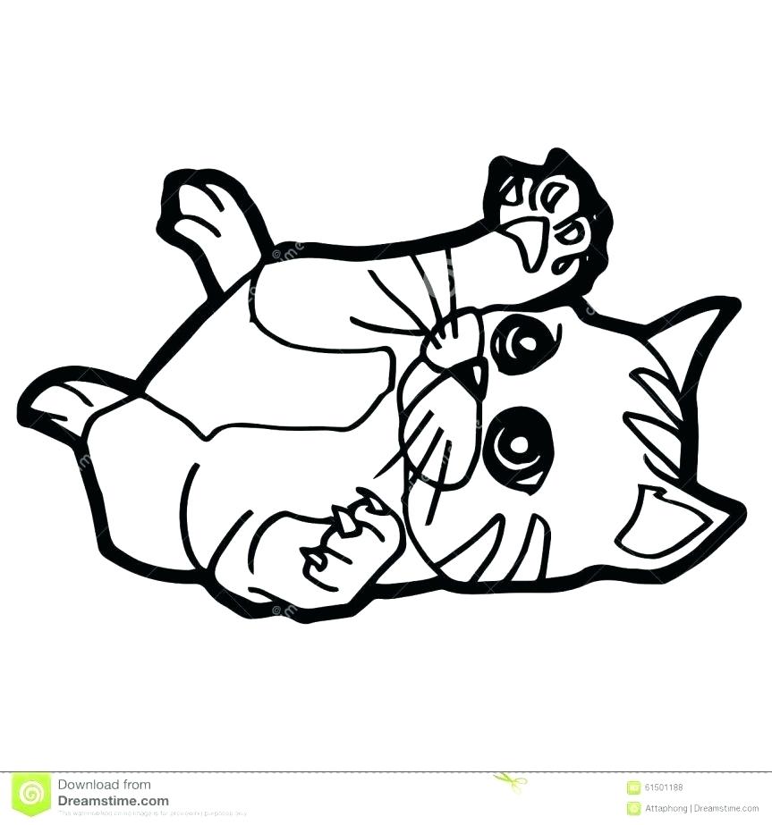 201 Cute Baby Kitten Coloring Pages for Kids