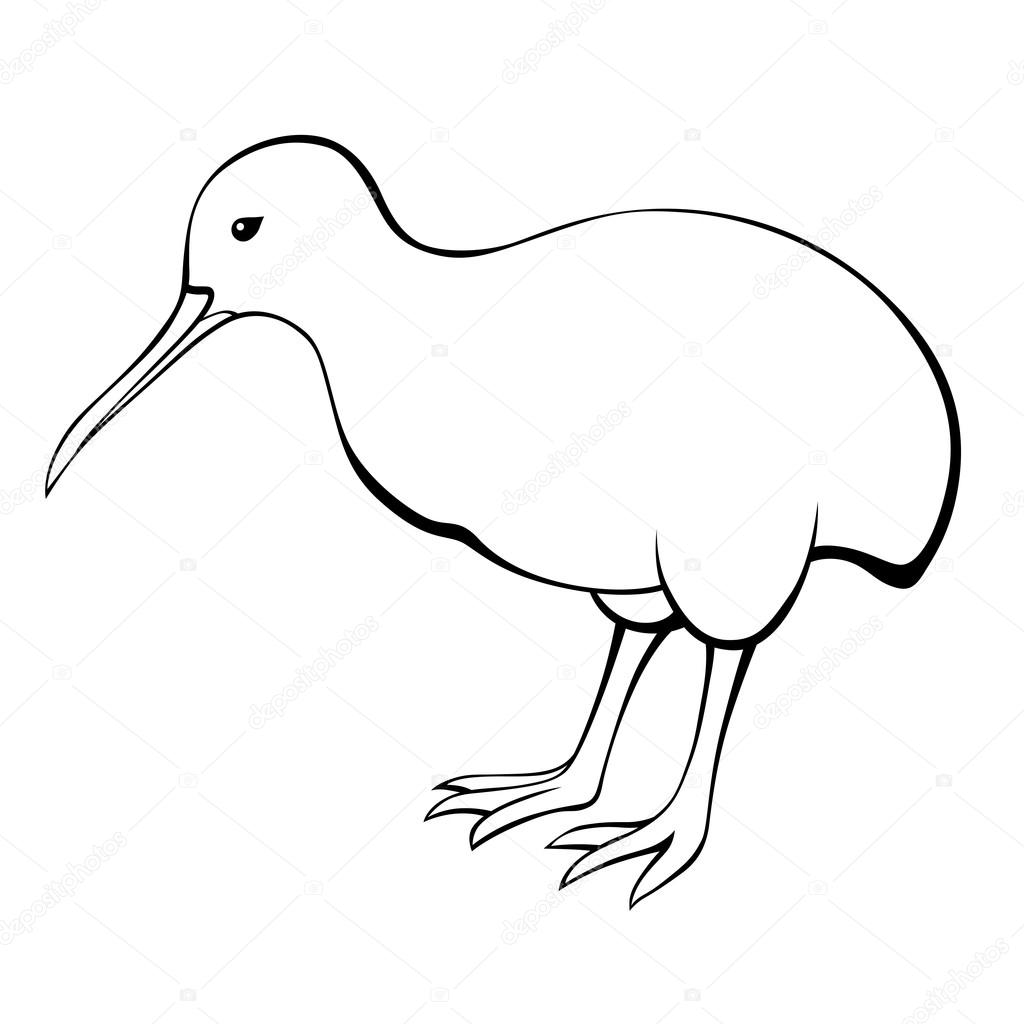 The best free Kiwi drawing images. Download from 180 free drawings of
