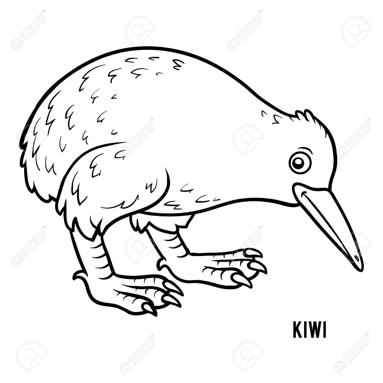 Kiwi Drawing at GetDrawings | Free download