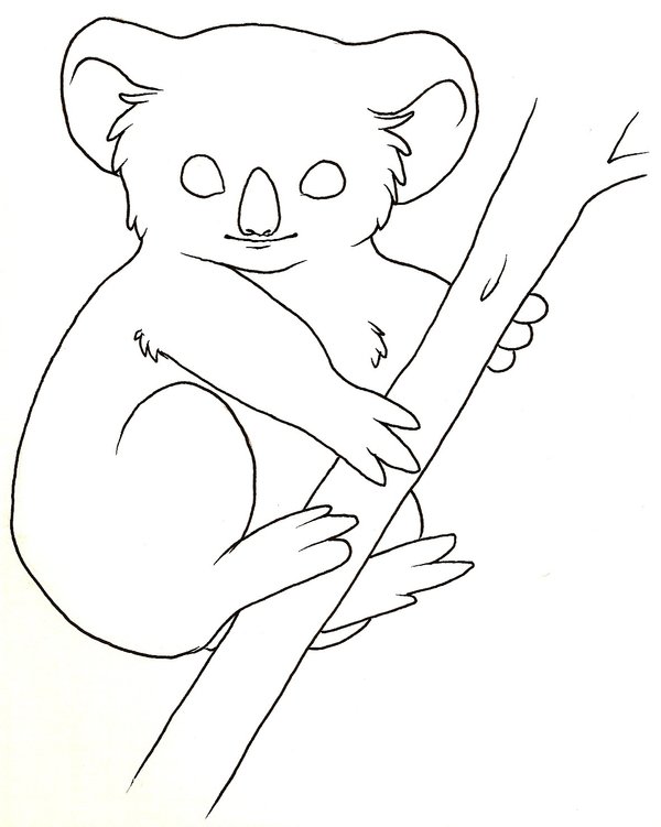 Koala Line Drawing at GetDrawings Free download