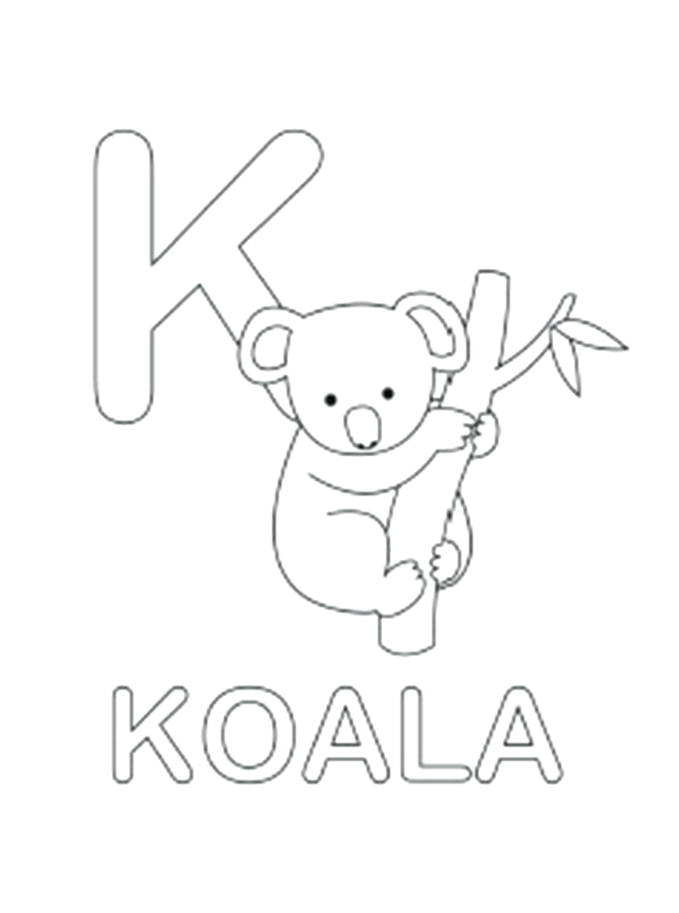 Koala Outline Drawing at GetDrawings | Free download