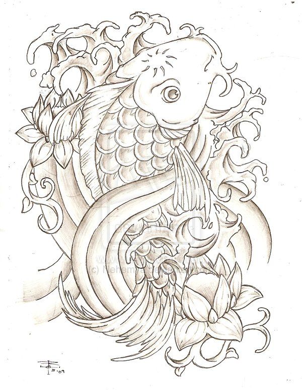 Koi Fish Drawing at GetDrawings | Free download