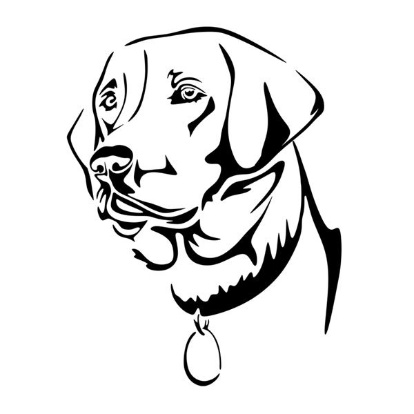 Lab Dog Drawing at GetDrawings | Free download