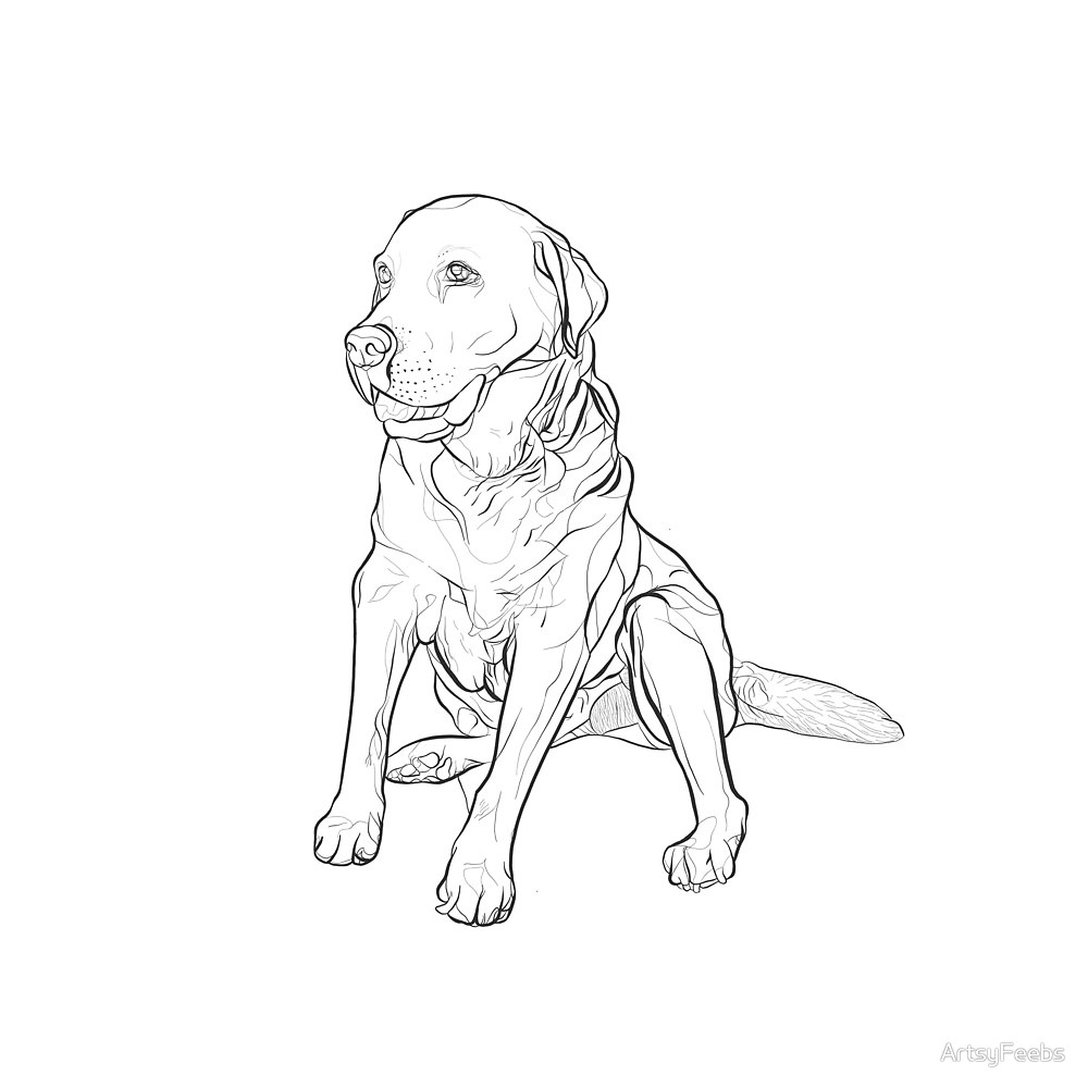 Labrador Line Drawing at GetDrawings Free download