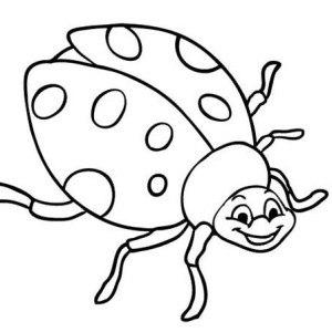 Ladybird Drawing at GetDrawings | Free download