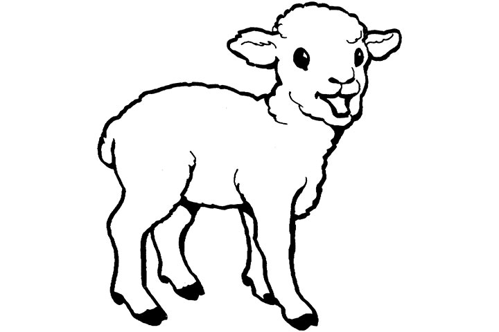 Lamb Line Drawing at GetDrawings | Free download