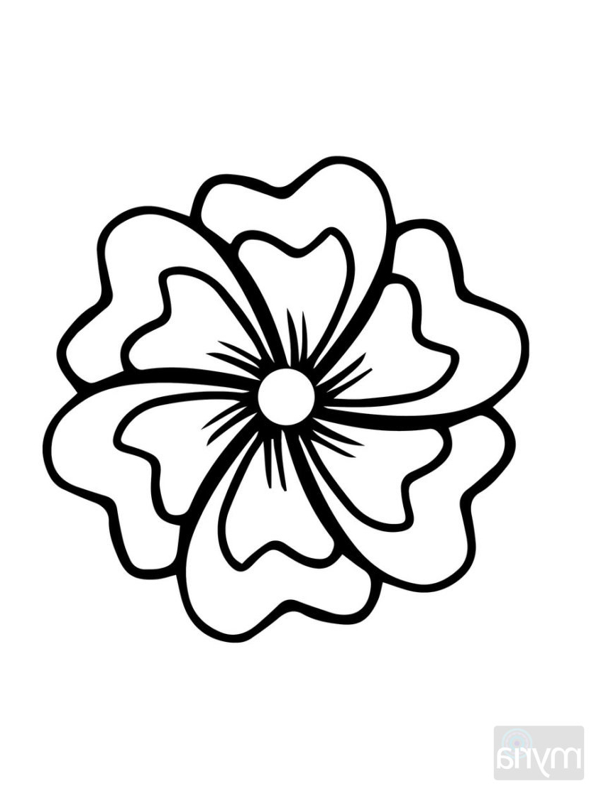 Large Flower Drawing at GetDrawings | Free download
