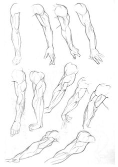 Leg Drawing at GetDrawings | Free download