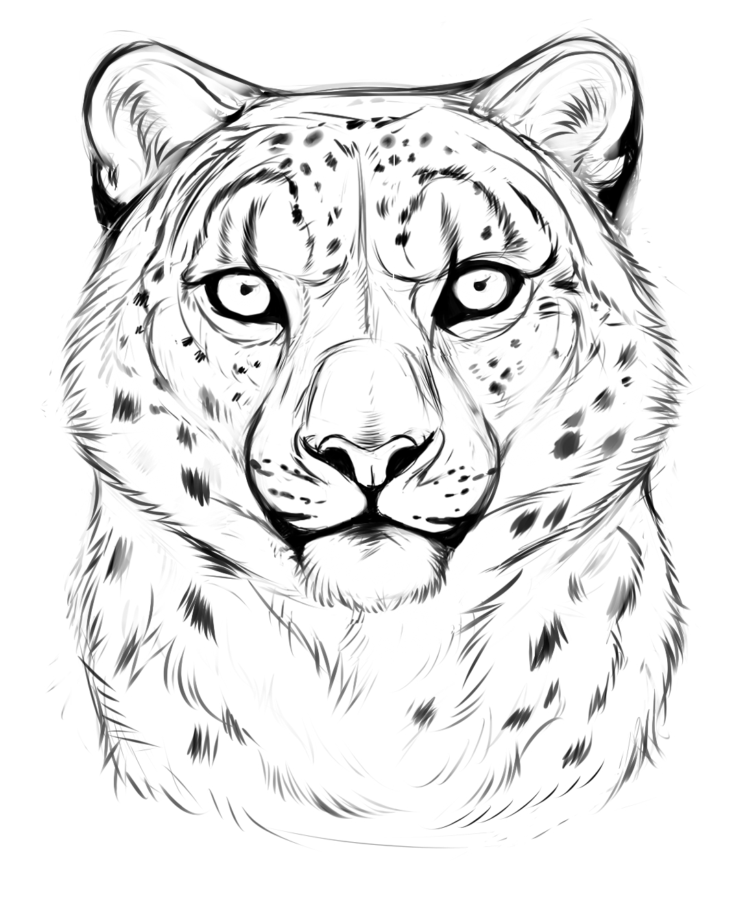 Leopard Face Drawing at GetDrawings | Free download