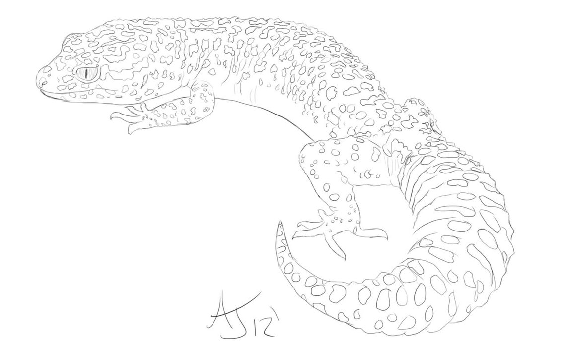 Featured image of post Leopard Gecko Drawings 1270 leopard gecko 3d models
