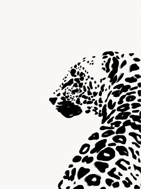 Leopard Face Sketch at Explore collection of