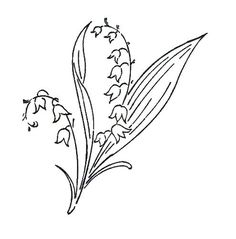 Lily Of The Valley Drawing at GetDrawings | Free download