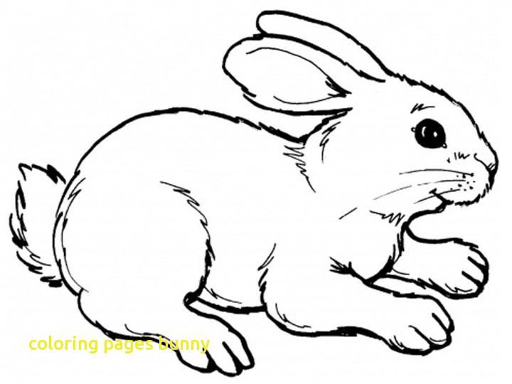 Line Drawing Bunny at GetDrawings | Free download