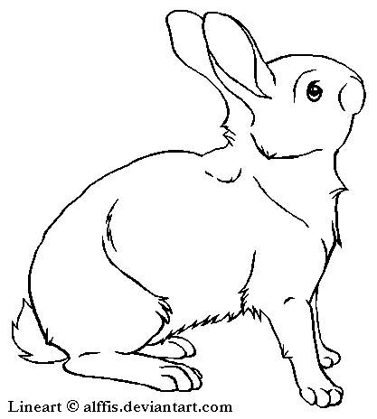 Line Drawing Bunny Rabbit at GetDrawings | Free download