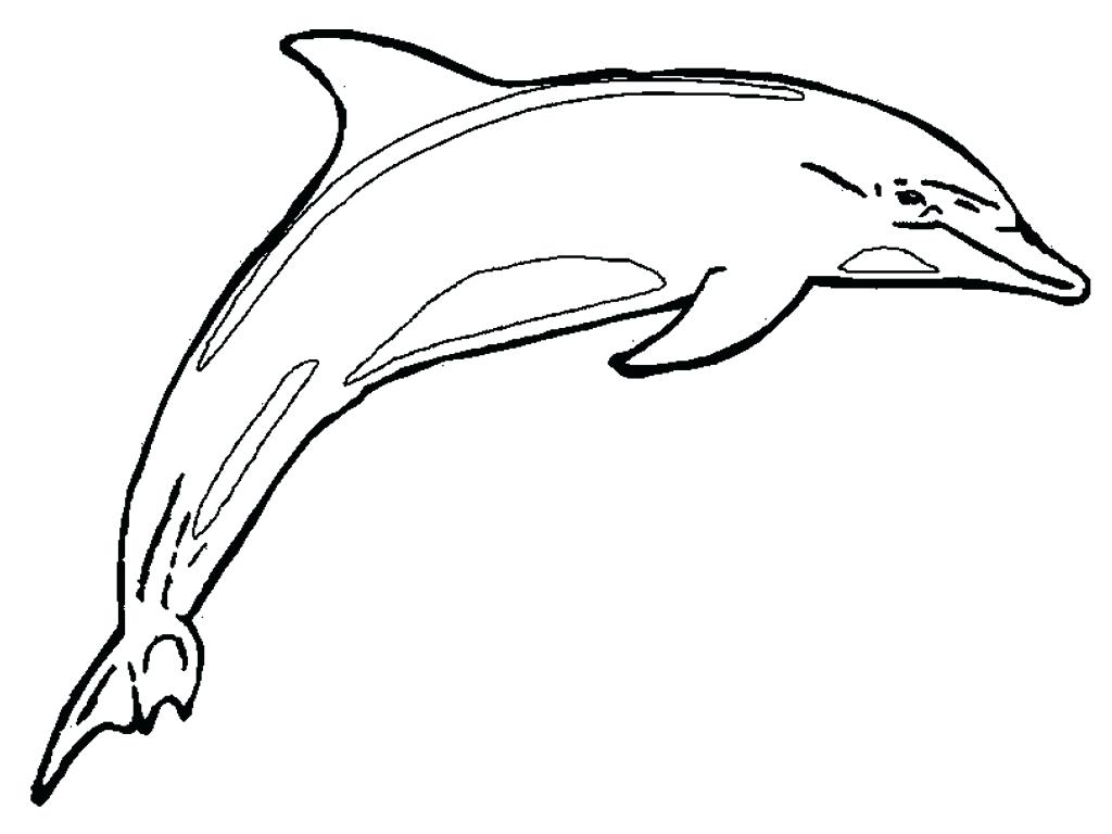 Line Drawing Dolphin at GetDrawings Free download