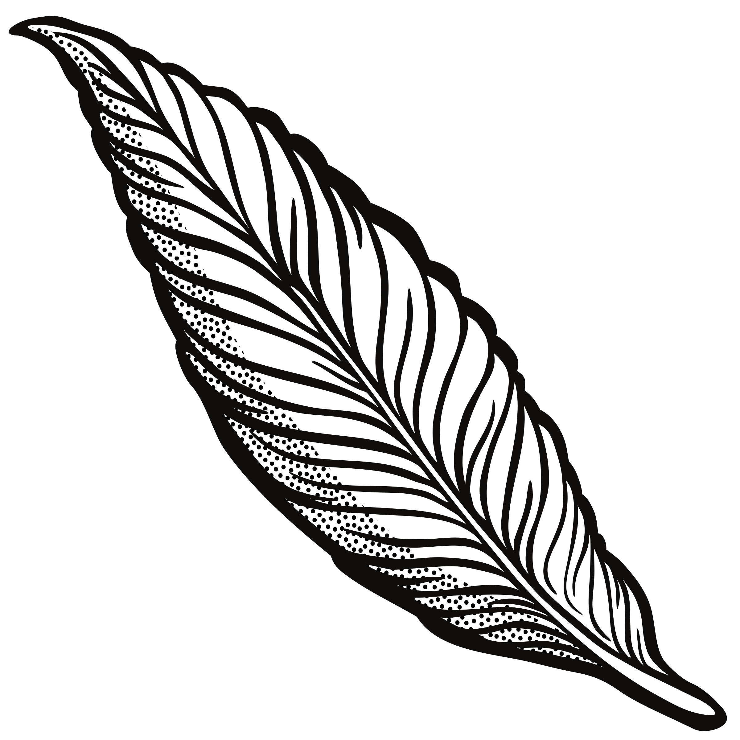 Line Drawing Feather at GetDrawings Free download