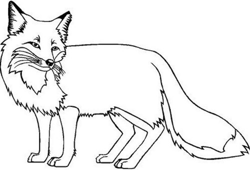 Line Drawing Fox at GetDrawings | Free download