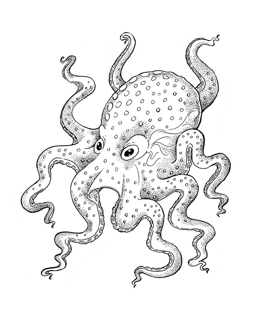 Line Drawing Octopus at GetDrawings Free download