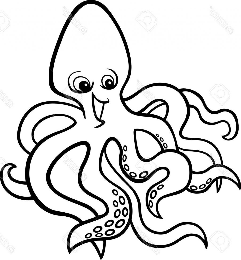 Line Drawing Octopus at GetDrawings | Free download