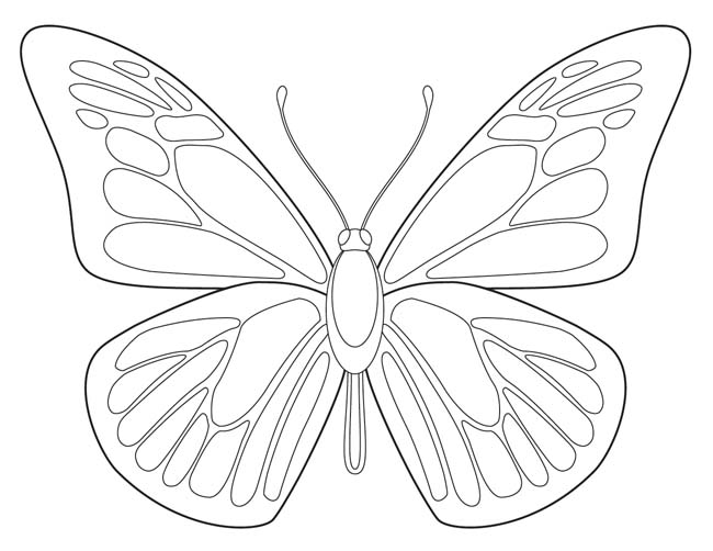 Line Drawing Of A Butterfly at GetDrawings | Free download