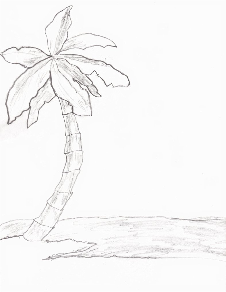 Line Drawing Of A Palm Tree at GetDrawings | Free download