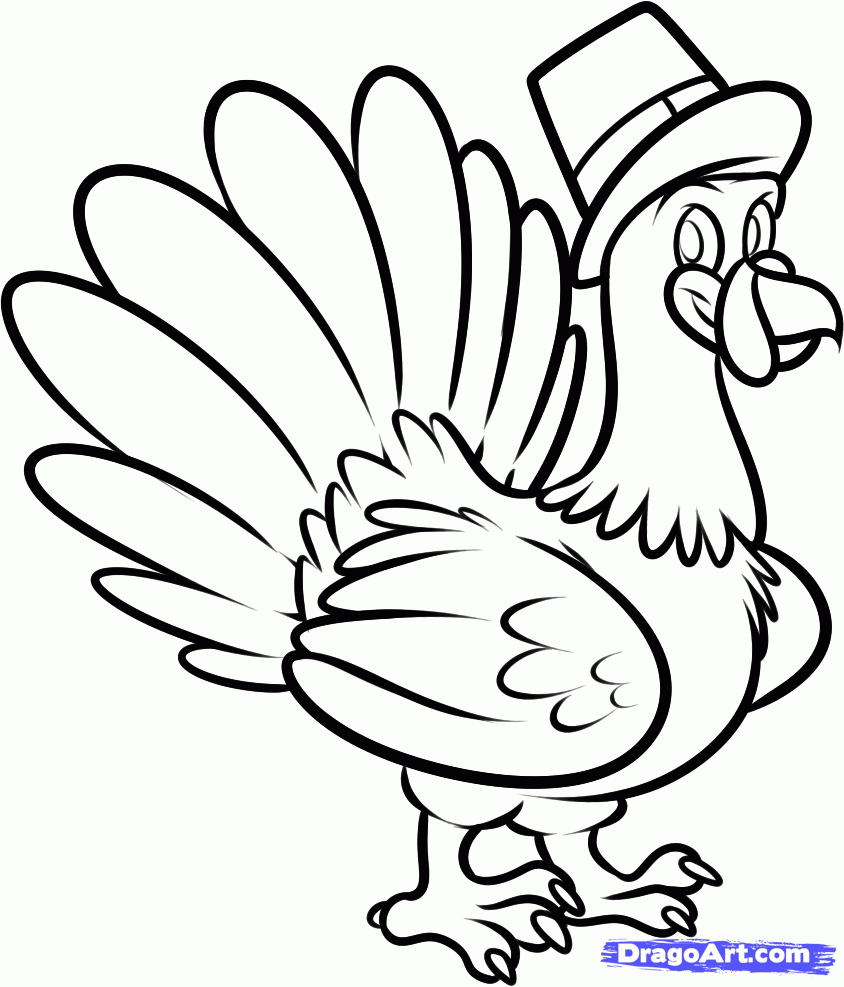 cartoon turkey sketch