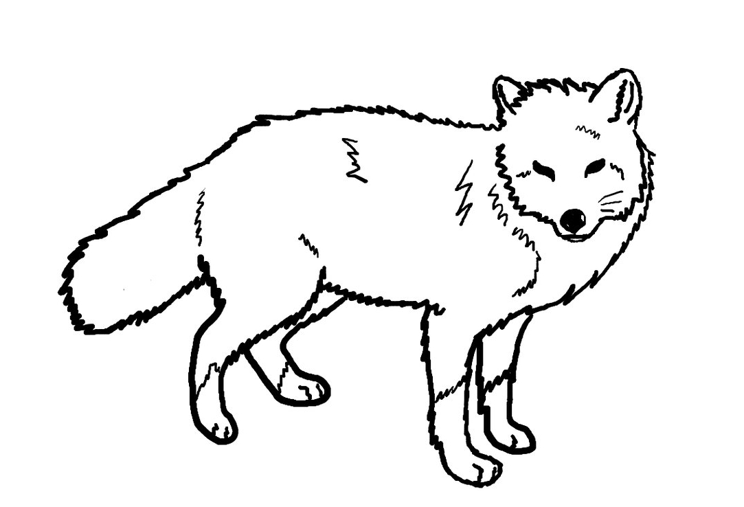 Line Drawing Of Animals at GetDrawings | Free download