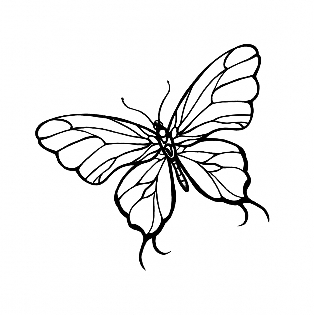 Line Drawing Of Butterfly at GetDrawings | Free download