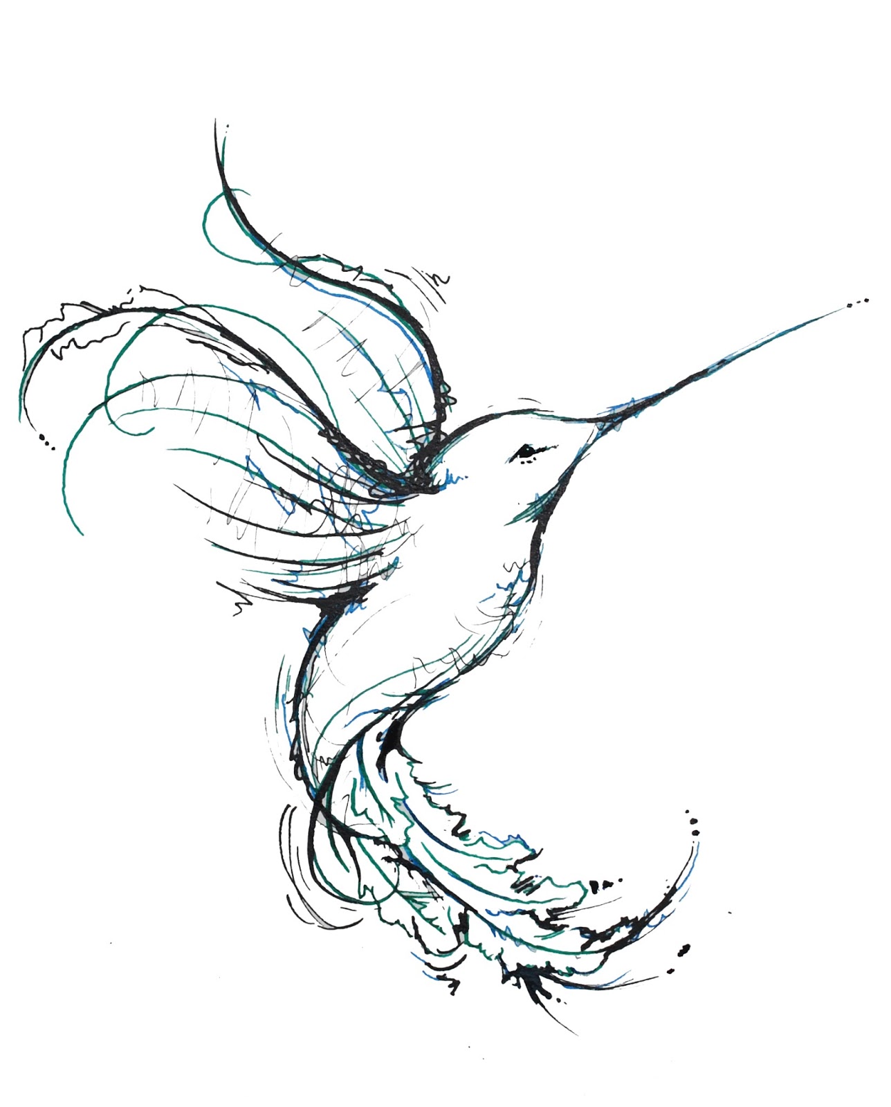 Line Drawing Of Hummingbird at GetDrawings Free download