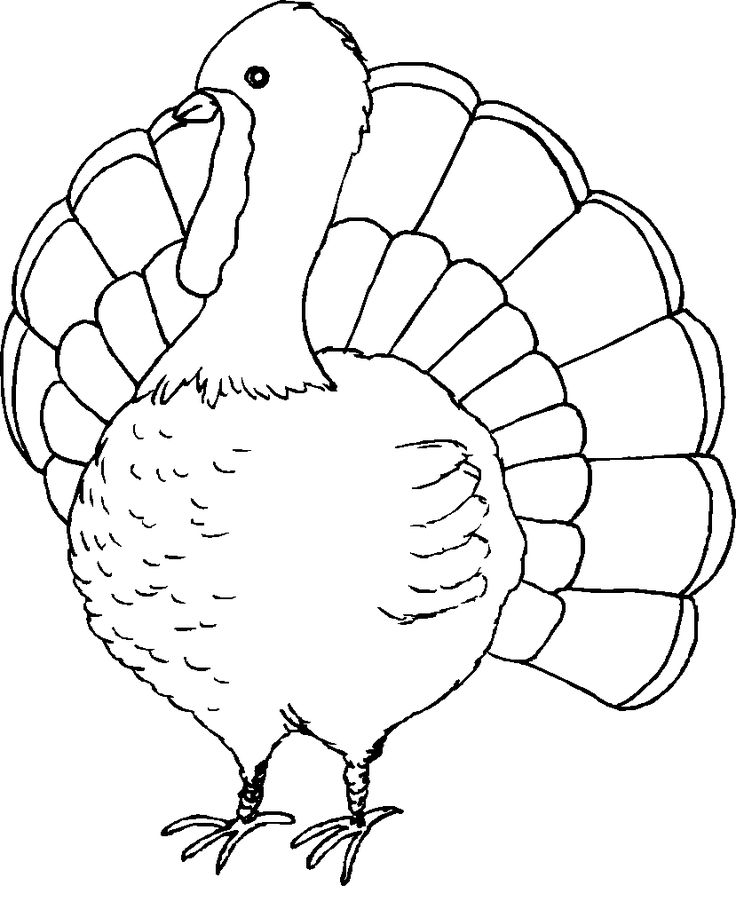 Free Coloring Pages Turkeys