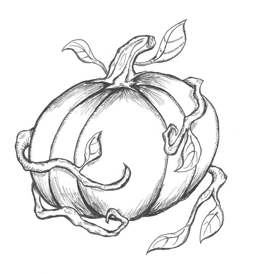 869x919 Pumpkin (Line Drawing) By Geomerisc.