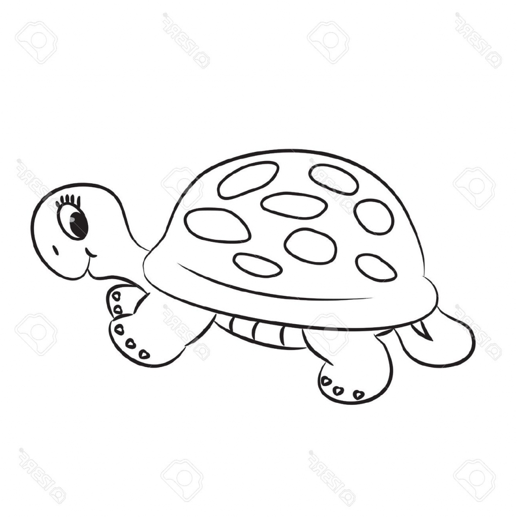 turtle drawing line cartoon easy drawings getdrawings draw