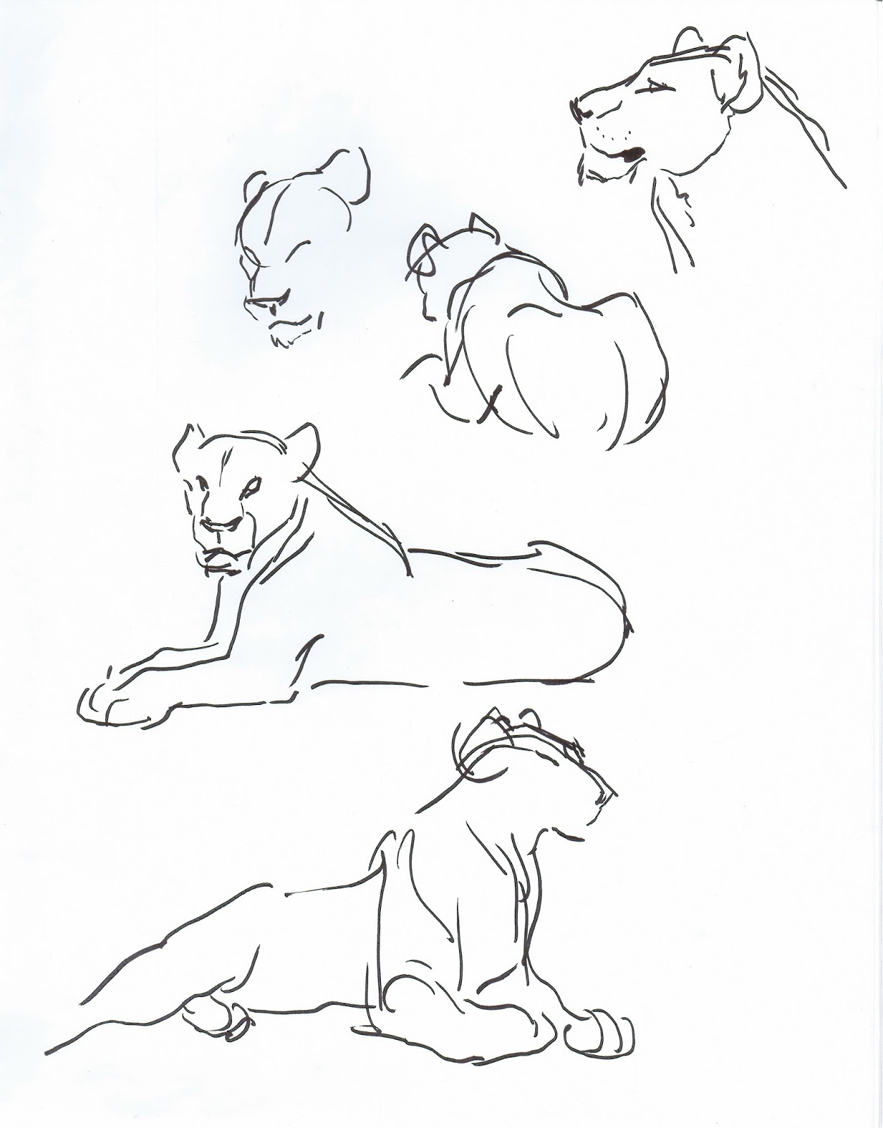 Набросок для рисования львята