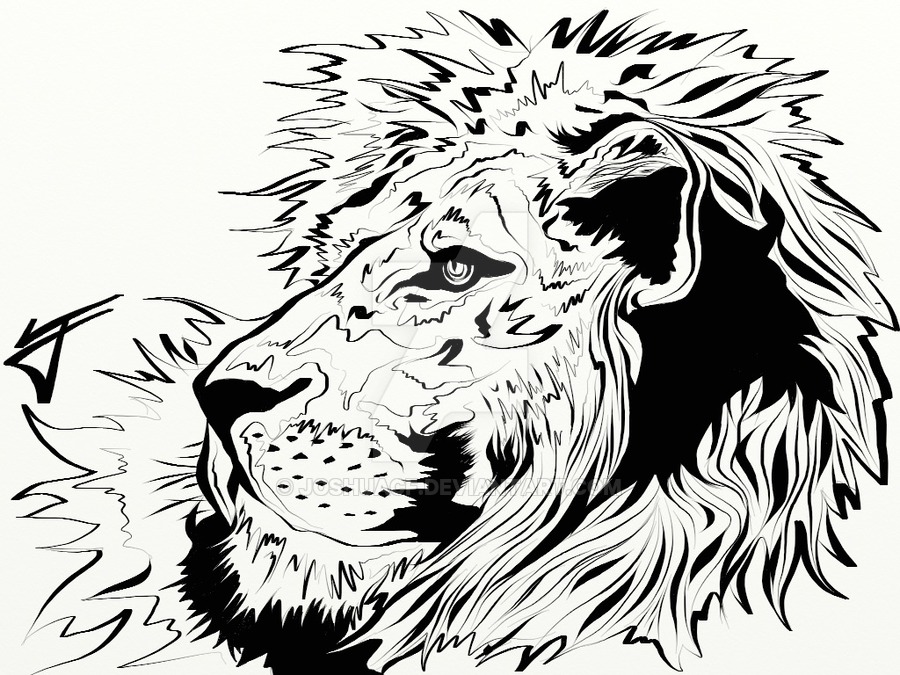 900x675 Ipad Drawing'Lion Of Judah'2011 Digita By Joshuacf.