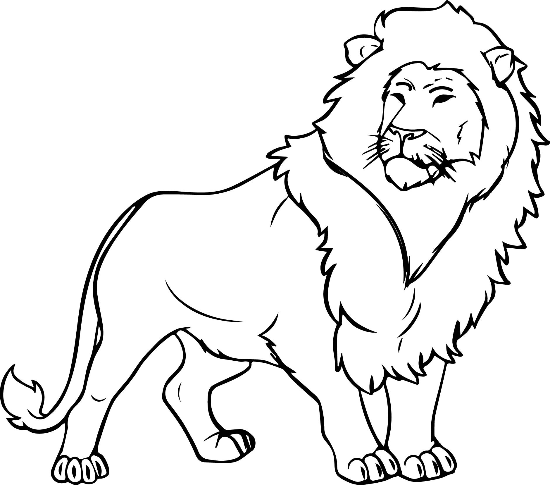 lion color drawing at getdrawings  free download